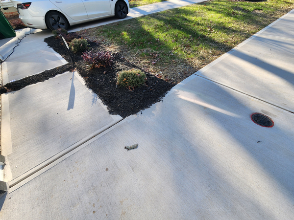 Coliving in NoDa - Central Charlotte, Charlotte