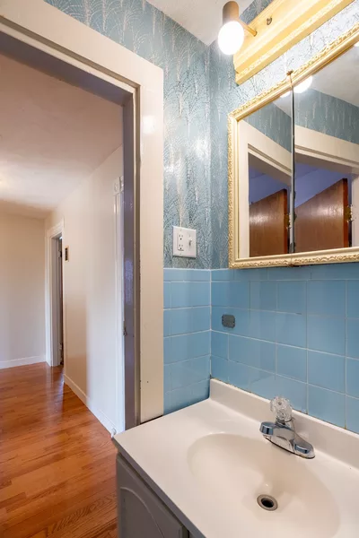 Coliving in Davis Square - Somerville, Boston