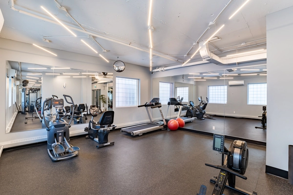 Coliving in Garneau - South Central, Edmonton