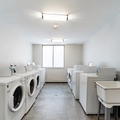 Coliving in Garneau - South Central, Edmonton