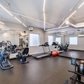 Coliving in Garneau - South Central, Edmonton