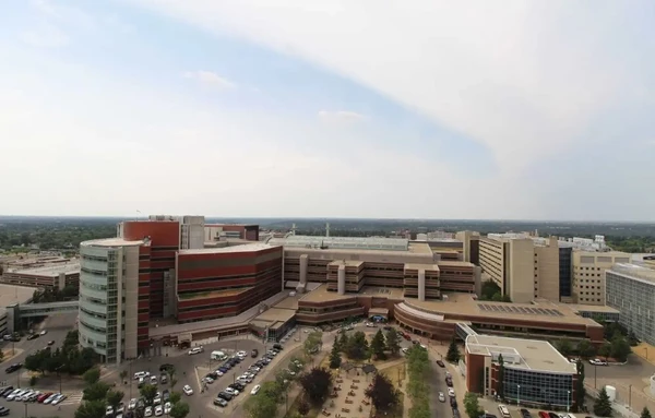 Coliving in Garneau - South Central, Edmonton