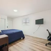 Coliving in Las Vegas - Las Vegas, Las Vegas