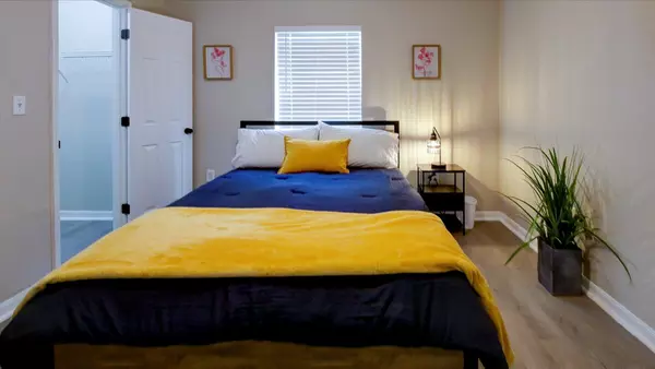 Coliving in Sarasota - Sarasota, Sarasota