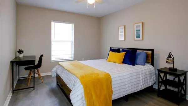 Coliving in Sarasota - Sarasota, Sarasota