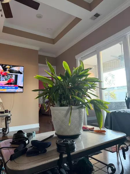 Coliving in Little River - North MB, Myrtle Beach