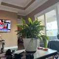 Coliving in Little River - North MB, Myrtle Beach