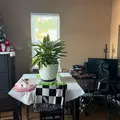 Coliving in Little River - North MB, Myrtle Beach