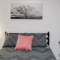 Coliving in University Square - North Tampa, Tampa