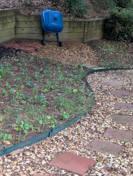 Coliving in Marietta - North Atl, Atlanta