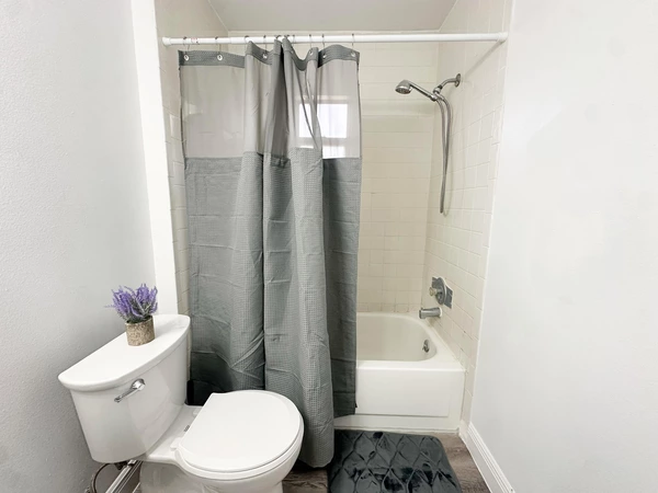 Coliving in Clearwater - Clearwater-St. Petersburg, Tampa