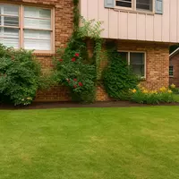 Coliving in NoDa - Central Charlotte, Charlotte