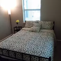 Coliving in San Marco - Southside, Jacksonville