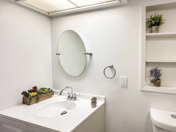 Coliving in University Square - North Tampa, Tampa