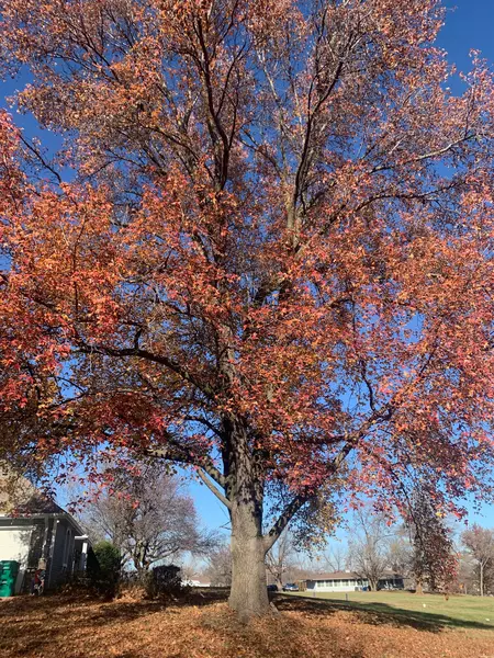 Coliving in Victory Hills - KCK, Kansas City