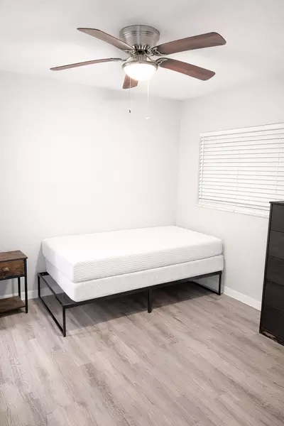 Coliving in Lealman - Clearwater-St. Petersburg, Tampa