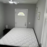 Coliving in Clearwater - Clearwater-St. Petersburg, Tampa