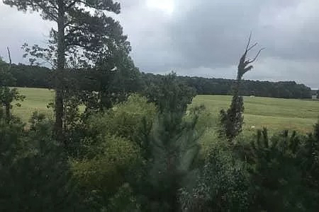 Coliving in Morrisville - Outer Triangle, Raleigh