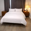 Coliving in Greater Hobby Area - Se Houston, Houston