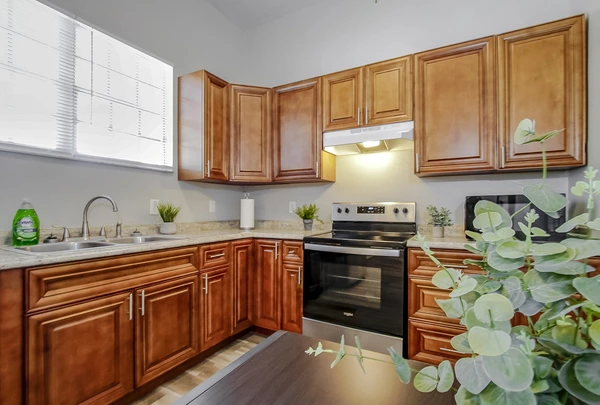 Coliving in Macfarlane Park - West Tampa, Tampa