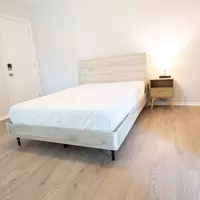 Coliving in North Austin Civic Association - North Austin, Austin