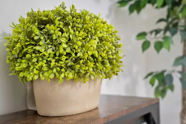 Coliving in Hogan - Southside, Jacksonville