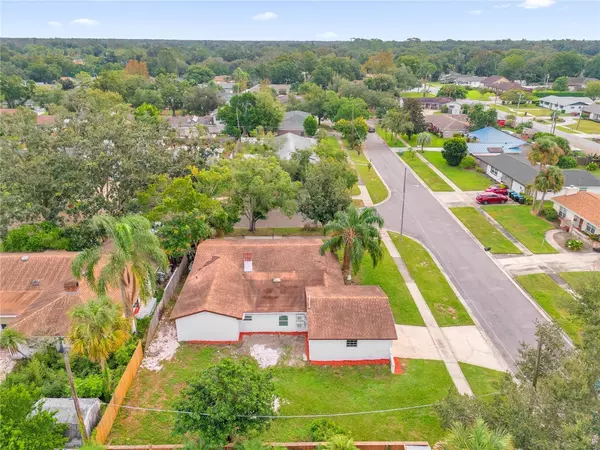 Coliving in Wadeview Park - Central Orlando, Orlando