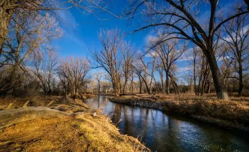 Coliving in Fort Logan - South Denver, Denver