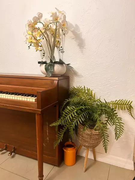 Coliving in Sarasota - Sarasota, Sarasota