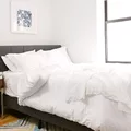 Coliving in Morningside Heights - Manhattan, New York