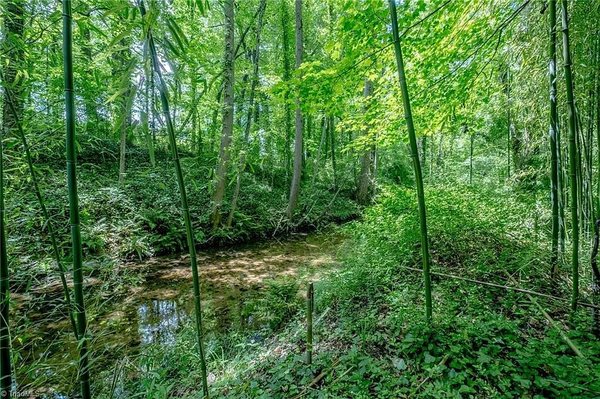 Coliving in West Winston-Salem - Winston-Salem, Greensboro