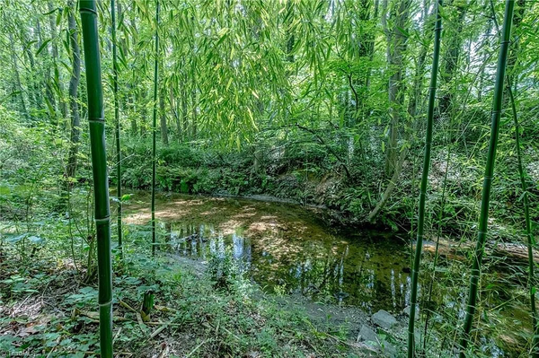 Coliving in West Winston-Salem - Winston-Salem, Greensboro