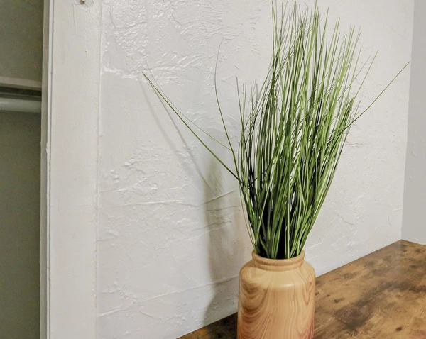 Coliving in Kenwood - Clearwater-St. Petersburg, Tampa