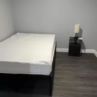 Coliving in Clearwater - Clearwater-St. Petersburg, Tampa