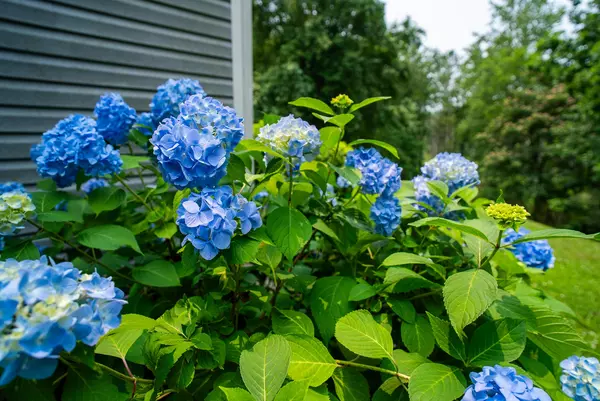 Coliving in Stonecrest - East Atl, Atlanta