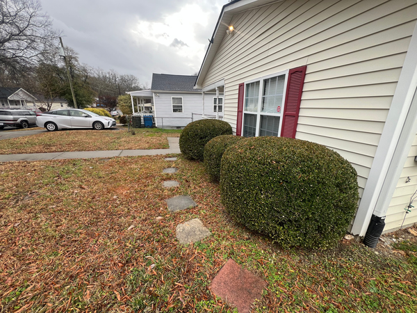 Coliving in Trinity Park - Durham, Raleigh