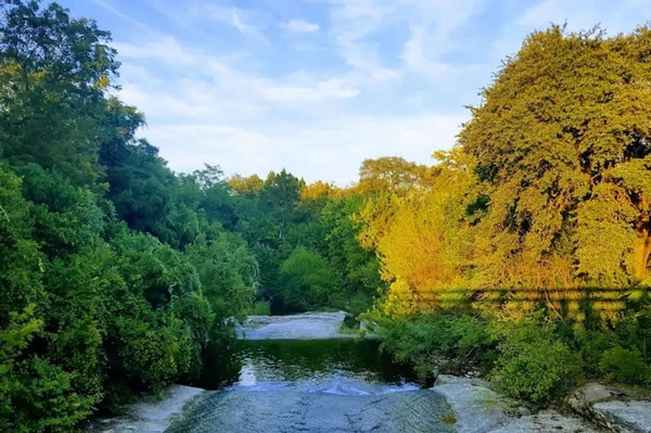 Coliving in North Lamar - North Austin, Austin