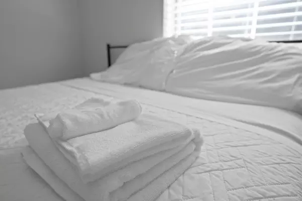 Coliving in Rockwood - Durham, Raleigh