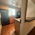 Studio Apartment for rent in City Park - Center Denver, Denver