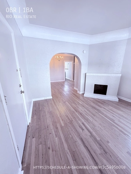 Studio Apartment for rent in Alamo Placita - Center Denver, Denver