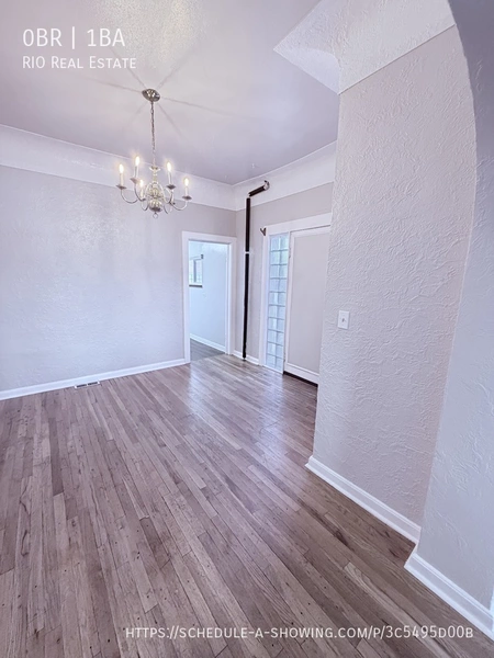 Studio Apartment for rent in Alamo Placita - Center Denver, Denver