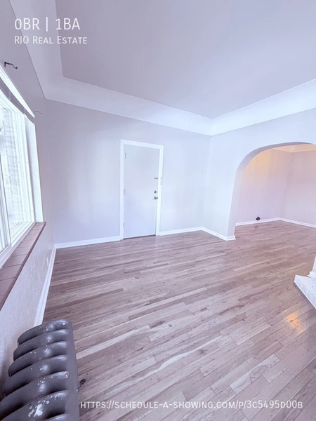 Studio Apartment for rent in Alamo Placita - Center Denver, Denver