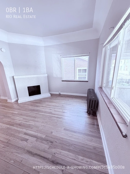 Studio Apartment for rent in Alamo Placita - Center Denver, Denver