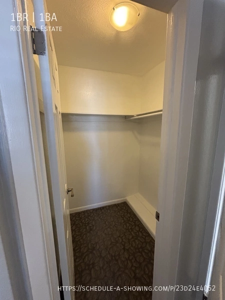 1 bedroom apartment for rent in City Park - Center Denver, Denver