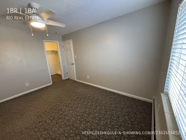 1 bedroom apartment for rent in City Park - Center Denver, Denver