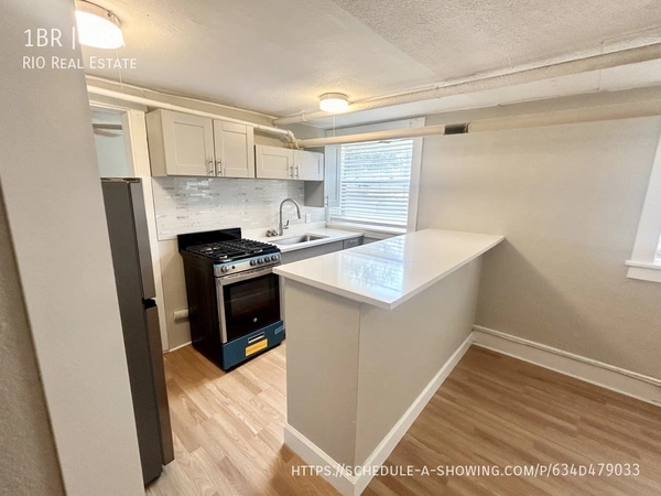 1 bedroom apartment for rent in Capitol Hill DEN - Center Denver, Denver