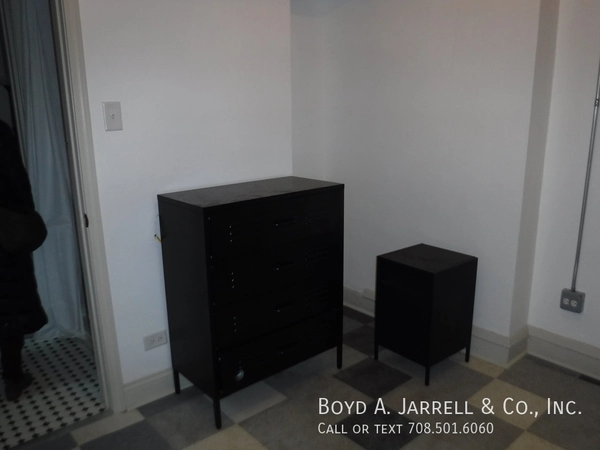 1 bedroom apartment for rent in Hyde Park - South Side, Chicago