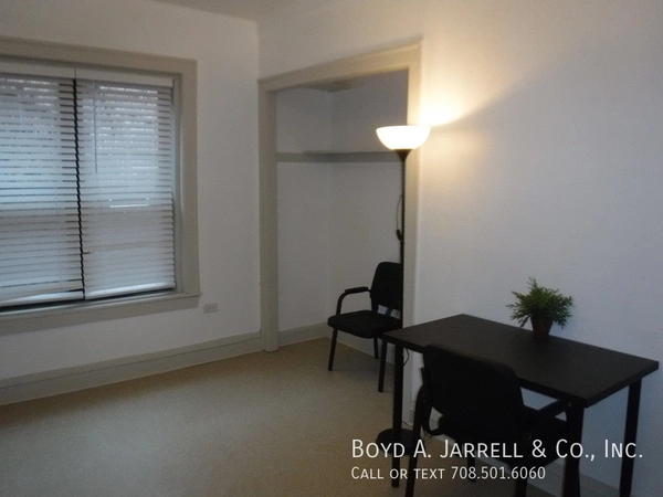 1 bedroom apartment for rent in Hyde Park - South Side, Chicago