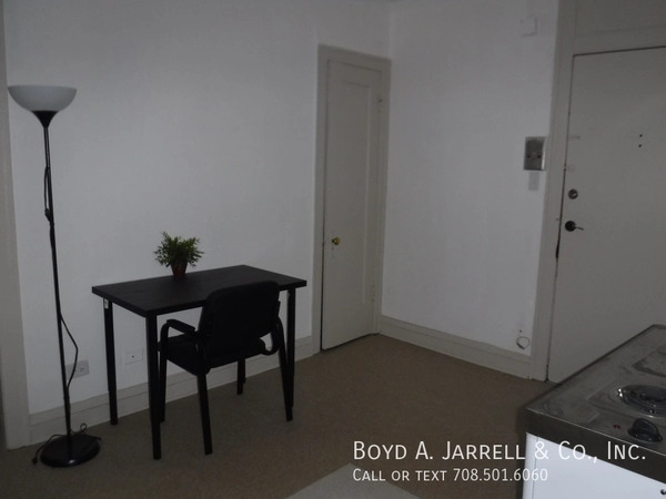 1 bedroom apartment for rent in Hyde Park - South Side, Chicago