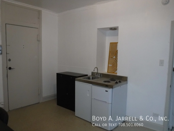 1 bedroom apartment for rent in Hyde Park - South Side, Chicago